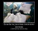 Нажмите на изображение для увеличения.

Название:	20.jpg
Просмотров:	1352
Размер:	34.0 Кб
ID:	3774077
