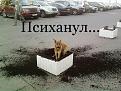 Нажмите на изображение для увеличения.

Название:	21.jpg
Просмотров:	1259
Размер:	86.8 Кб
ID:	3775322
