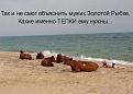 Нажмите на изображение для увеличения.

Название:	3pJ92UI3p60.jpg
Просмотров:	1158
Размер:	55.3 Кб
ID:	3775429
