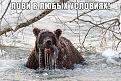 Нажмите на изображение для увеличения.

Название:	SW0JZJWU_xM.jpg
Просмотров:	1156
Размер:	97.6 Кб
ID:	3775445
