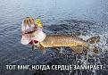 Нажмите на изображение для увеличения.

Название:	zaXRflIClgw.jpg
Просмотров:	1168
Размер:	94.6 Кб
ID:	3775454