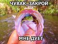 Нажмите на изображение для увеличения.

Название:	td1kJM-WzGE.jpg
Просмотров:	1183
Размер:	56.3 Кб
ID:	3775551