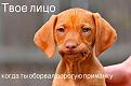 Нажмите на изображение для увеличения.

Название:	XMBjI_felpY.jpg
Просмотров:	1171
Размер:	49.3 Кб
ID:	3775552