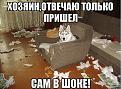 Нажмите на изображение для увеличения.

Название:	kXQPY8jHUUI.jpg
Просмотров:	1254
Размер:	80.7 Кб
ID:	3776381