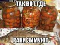 Нажмите на изображение для увеличения.

Название:	JfjINrY8Bh4.jpg
Просмотров:	1227
Размер:	52.8 Кб
ID:	3776388