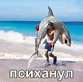 Нажмите на изображение для увеличения.

Название:	znKEooZK2Xk.jpg
Просмотров:	1239
Размер:	70.4 Кб
ID:	3776398