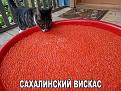 Нажмите на изображение для увеличения.

Название:	spMwylEtUTU.jpg
Просмотров:	1234
Размер:	99.5 Кб
ID:	3776415