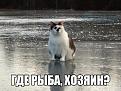 Нажмите на изображение для увеличения.

Название:	6hJ0YxpxtIM.jpg
Просмотров:	1260
Размер:	110.8 Кб
ID:	3777292