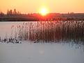 Нажмите на изображение для увеличения.

Название:	IMG_4840.JPG
Просмотров:	1208
Размер:	117.8 Кб
ID:	3777880