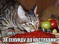 Нажмите на изображение для увеличения.

Название:	_vU57waSn1U.jpg
Просмотров:	1461
Размер:	79.0 Кб
ID:	3778907