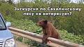 Нажмите на изображение для увеличения.

Название:	7O0Gg2nKPes.jpg
Просмотров:	1388
Размер:	94.6 Кб
ID:	3778911