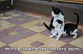 Нажмите на изображение для увеличения.

Название:	M0i1beZFgYU.jpg
Просмотров:	1357
Размер:	61.0 Кб
ID:	3778922