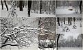 Нажмите на изображение для увеличения.

Название:	1-2016-01-122.jpg
Просмотров:	449
Размер:	198.6 Кб
ID:	3779100