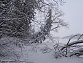 Нажмите на изображение для увеличения.

Название:	DSC04685.jpg
Просмотров:	943
Размер:	201.1 Кб
ID:	3779487