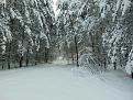 Нажмите на изображение для увеличения.

Название:	DSC00080.jpg
Просмотров:	398
Размер:	200.2 Кб
ID:	3779861