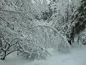 Нажмите на изображение для увеличения.

Название:	DSC00082.jpg
Просмотров:	388
Размер:	202.0 Кб
ID:	3779863