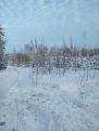 Нажмите на изображение для увеличения.

Название:	IMG_20160124_160249.jpg
Просмотров:	1194
Размер:	130.1 Кб
ID:	3780931