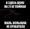 Нажмите на изображение для увеличения.

Название:	8k7g12ycrFg.jpg
Просмотров:	1203
Размер:	29.7 Кб
ID:	3782505