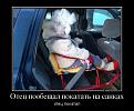 Нажмите на изображение для увеличения.

Название:	114c_small.jpg
Просмотров:	1235
Размер:	40.2 Кб
ID:	3782509
