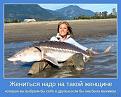 Нажмите на изображение для увеличения.

Название:	bbQhEFy1EuQ.jpg
Просмотров:	1236
Размер:	68.4 Кб
ID:	3782866