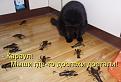 Нажмите на изображение для увеличения.

Название:	IZW1rgTC2u4.jpg
Просмотров:	1251
Размер:	27.1 Кб
ID:	3782871