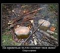 Нажмите на изображение для увеличения.

Название:	QvxJy43P5W0.jpg
Просмотров:	1257
Размер:	82.5 Кб
ID:	3782875