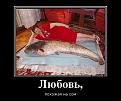 Нажмите на изображение для увеличения.

Название:	iR3rIZMzyCc.jpg
Просмотров:	1315
Размер:	51.5 Кб
ID:	3785960