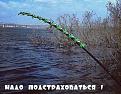 Нажмите на изображение для увеличения.

Название:	lNJ379afPns.jpg
Просмотров:	1329
Размер:	105.7 Кб
ID:	3785963