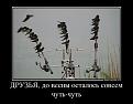 Нажмите на изображение для увеличения.

Название:	Tl0wBXimKiI.jpg
Просмотров:	1328
Размер:	39.8 Кб
ID:	3785973