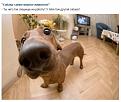 Нажмите на изображение для увеличения.

Название:	042.JPG
Просмотров:	317
Размер:	62.4 Кб
ID:	3786666