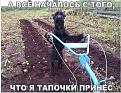 Нажмите на изображение для увеличения.

Название:	Screenshot_3 (2).jpg
Просмотров:	1337
Размер:	64.2 Кб
ID:	3792488