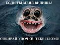Нажмите на изображение для увеличения.

Название:	viV052eR5ho.jpg
Просмотров:	585
Размер:	78.2 Кб
ID:	3792604