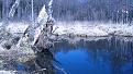 Нажмите на изображение для увеличения.

Название:	IMG_1200.jpg
Просмотров:	457
Размер:	197.1 Кб
ID:	3792822