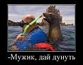 Нажмите на изображение для увеличения.

Название:	qJRA-QwxVN4.jpg
Просмотров:	1392
Размер:	48.5 Кб
ID:	3795540