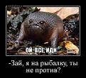 Нажмите на изображение для увеличения.

Название:	VuDO8YJ10co.jpg
Просмотров:	1459
Размер:	78.2 Кб
ID:	3795543