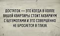 Нажмите на изображение для увеличения.

Название:	vt_985.jpg
Просмотров:	1200
Размер:	51.9 Кб
ID:	3795671