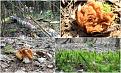 Нажмите на изображение для увеличения.

Название:	1-2016-04-214.jpg
Просмотров:	588
Размер:	195.0 Кб
ID:	3799877