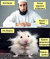 Нажмите на изображение для увеличения.

Название:	улыбнуло (8).jpg
Просмотров:	1445
Размер:	68.2 Кб
ID:	3799976