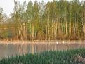 Нажмите на изображение для увеличения.

Название:	IMG_1347.jpg
Просмотров:	1264
Размер:	197.6 Кб
ID:	3802083