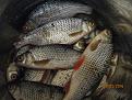 Нажмите на изображение для увеличения.

Название:	IMG_2545.jpg
Просмотров:	1619
Размер:	147.3 Кб
ID:	3802107