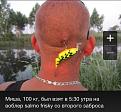 Нажмите на изображение для увеличения.

Название:	7915496.jpg
Просмотров:	1253
Размер:	72.8 Кб
ID:	3811576