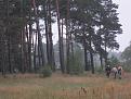 Нажмите на изображение для увеличения.

Название:	DSCN6777.jpg
Просмотров:	338
Размер:	188.7 Кб
ID:	3820899