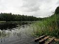 Нажмите на изображение для увеличения.

Название:	DSC06728.JPG
Просмотров:	1312
Размер:	110.4 Кб
ID:	3821455