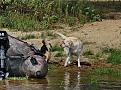 Нажмите на изображение для увеличения.

Название:	IMG_0458.JPG
Просмотров:	1748
Размер:	191.8 Кб
ID:	3822053