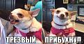 Нажмите на изображение для увеличения.

Название:	yUyNnBeUG5s.jpg
Просмотров:	1323
Размер:	49.4 Кб
ID:	3822761