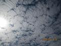 Нажмите на изображение для увеличения.

Название:	IMG_2294.jpg
Просмотров:	573
Размер:	88.2 Кб
ID:	3823503