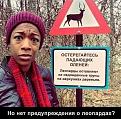 Нажмите на изображение для увеличения.

Название:	Rip13qUVioU.jpg
Просмотров:	1305
Размер:	105.8 Кб
ID:	3833321