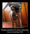 Нажмите на изображение для увеличения.

Название:	69_86_11.jpg
Просмотров:	1309
Размер:	77.3 Кб
ID:	3833543