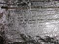 Нажмите на изображение для увеличения.

Название:	IMG_3218.jpg
Просмотров:	1659
Размер:	210.9 Кб
ID:	3834015