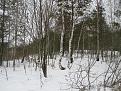 Нажмите на изображение для увеличения.

Название:	IMG_2017.jpg
Просмотров:	1559
Размер:	204.0 Кб
ID:	3837457